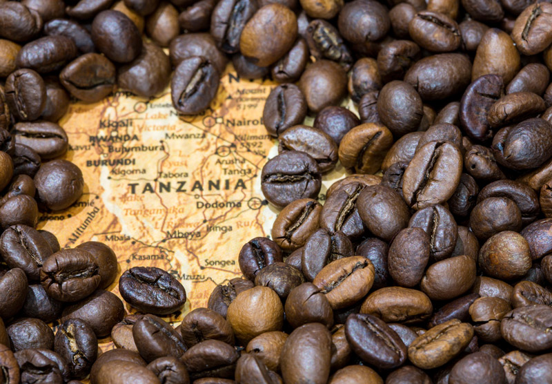 tl_files/tiny_templates/tanzania-kilimanjaro-coffee-2.jpg